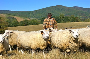 shepherd-craig-rogers-2